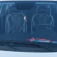 ساینا 403|خودرو سواری و وانت|تربت جام, میان جام|دیوار