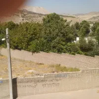 ۳۳۷/۵ زمین در بهترین جای بلوار سد لتیان خ سرهنگ|فروش زمین و ملک کلنگی|جاجرود, |دیوار