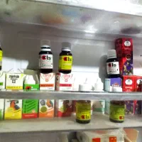 فنچ تازه بالغ درشت آماده جفت