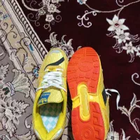 کتونی آدیداس|کیف، کفش، کمربند|قم, نیروگاه|دیوار