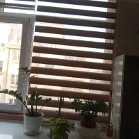 پرده شید  زبرا