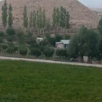 فروش فوری باغ ۱۳۷۸ متری در قلب منطقه فیروزکوه|فروش دفتر صنعتی، کشاورزی، تجاری|فیروزکوه, |دیوار
