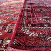 قالی ترکمنی اصیل دست باف|فرش|گنبد کاووس, |دیوار