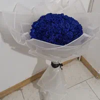 اکسسوری|زیورآلات و اکسسوری|قرچک, پویینک|دیوار