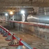 مرغداری ۳۰۰۰۰قبل از کردکوی ۹۰۰۰مترزمین|فروش دفتر صنعتی، کشاورزی، تجاری|گرگان, |دیوار