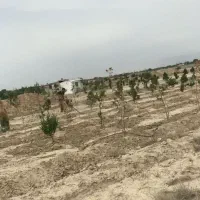 زمین قشلاق مهرچین ۷۵۰متر