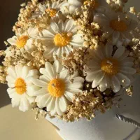 شمع و گیفت شمع