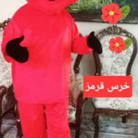 فروش واجاره تنپوش عروسکی باعروسک گردان در جشنها|خدمات پذیرایی، مراسم|کرج, باغستان|دیوار