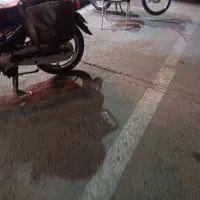 خورجین موتور با قفل دیسک