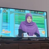 کارتن تلویزیون