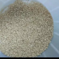 برنج نیم دانه هاشمی شمال گیلان عمده و نیم عمده