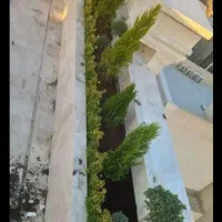 خدمات باغبانی باغچه کاری گل کاری تعویض خاک گلدان|خدمات باغبانی و درختکاری|اسلام‌شهر, شهرک احمدیه|دیوار