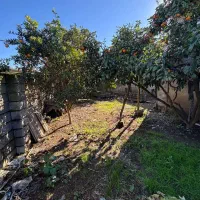 خونه روستایی 415مترباسندتکبرگ  فروش فورری|فروش خانه و ویلا|آستانه سرا, |دیوار