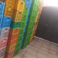 فروش سبد مرغی