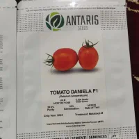 بذر گوجه فرنگی دنیلا