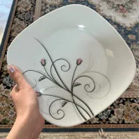 بشقاب چینی پردیس