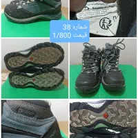 انواع کفش اصلی