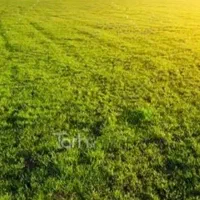 زمین-باغی-با-آب-ملکی