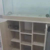 آکواریوم شیک و زیبا|ماهی|قروه, |دیوار