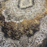 فرش ۶ متری تنوع بالا فوری|فرش|کیش, |دیوار