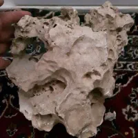 صخره اکواریوم|ماهی|چهاردانگه (تهران), |دیوار