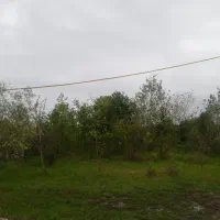 280متر زمین مسکونی