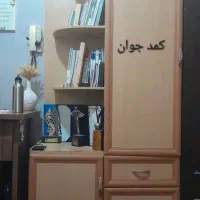 کمد ۳ تکه MDF سفارشی|جاکفشی، کمد، دراور|شیراز, پودنک|دیوار