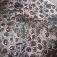 انواع لواشک مربا عسل طبیعی|خوردنی و آشامیدنی|شیراز, قلعه نو|دیوار