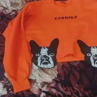 کراپ زمستانی