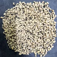 فروش انواع لوبیا قرمز - چیتی - چشم بلبلی - سفید|عمدهفروشی|ری, منصوریه منگل|دیوار