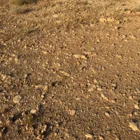 دوهزار متر زمین باغ زرقان