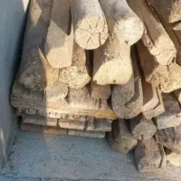 تعدادی چوب سپیداری و چوب بنایی|گل و گیاه طبیعی|دهدشت, |دیوار