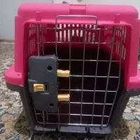 لوازم سگ و گربه