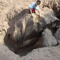 حضور درتورقشم با ۵ملیون پیش پرداخت