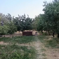 فروش زمین کشاورزی