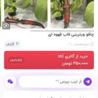 شمشیر تزئینی|کلکسیون اشیاء عتیقه|قم, یزدان‌شهر|دیوار