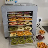 دستگاه خشک کن میوه و سبزیجات دیجیتال تیکا 9کشو