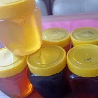 انواع عسل های دیابتی درمانی منطقه کرمانشاهی