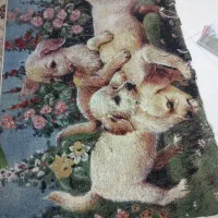 فرش 6متری|فرش|زاهدان, |دیوار