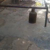 تخت فلز