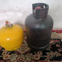 دوعدد پیک نیک سالم