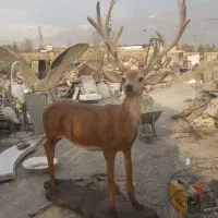 زیبا سازان پارسیانمهر