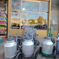 شیر دوش های گاوی