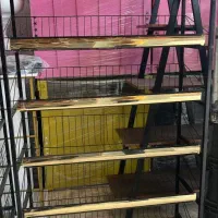 قفسه پانچی/فروشگاهی/دیواری /قفسه وسط|فروشگاه و مغازه|جاجرود, |دیوار