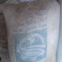 پوست گردو|گل و گیاه طبیعی|اهواز, کمپلو جنوبی|دیوار