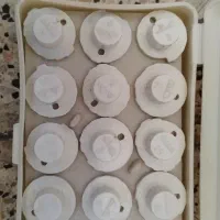 چرخ خیاطی|چرخ خیاطی و ریسندگی|مشهد, همت آباد|دیوار