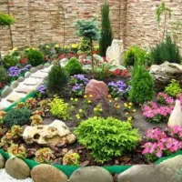 اَنجام باغبانیِ منزل وکاشت گلدان وباغچه وفضای سبز|خدمات باغبانی و درختکاری|صدرا-فارس, باغشهر گلبهار صدرا|دیوار