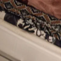 دو عدد رو فرشی|روفرشی|کرمان, |دیوار