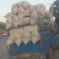 جاشیر