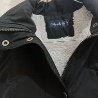 کاپشن / پالتو زنانه|لباس|بردسکن, |دیوار